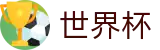 FIFA世界杯_世界杯反波胆APP下载_2026世界杯官方下载点